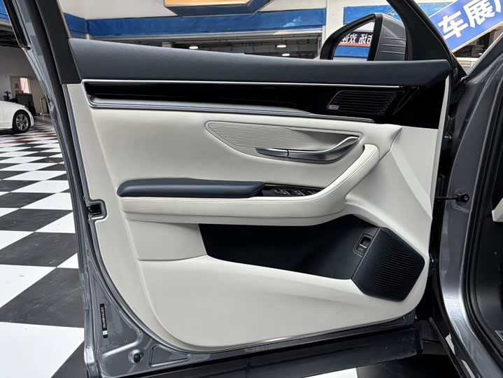 BYD Song Plus Hybrid/EV, 2022 — фото 10 из 12