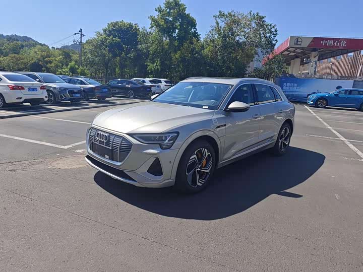 Audi e-tron, 2025 — купить в Ижевске под ключ