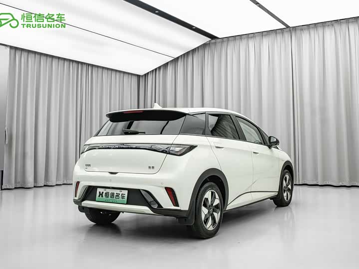 BYD Dolphin, 2024 — фото 4 из 9