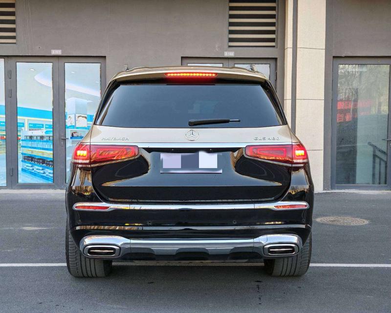 Mercedes-Benz Maybach GLS, 2022 — фото 3 из 10