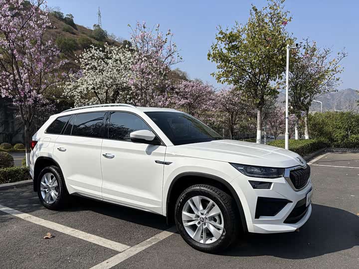 Skoda Kodiaq, 2024 — фото 3 из 9