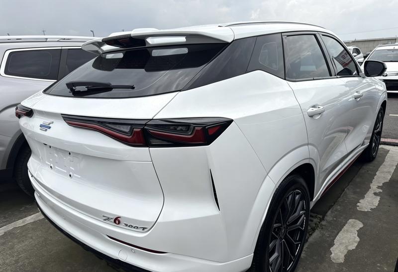 Changan Oshan Z6, 2023 — фото 5 из 12