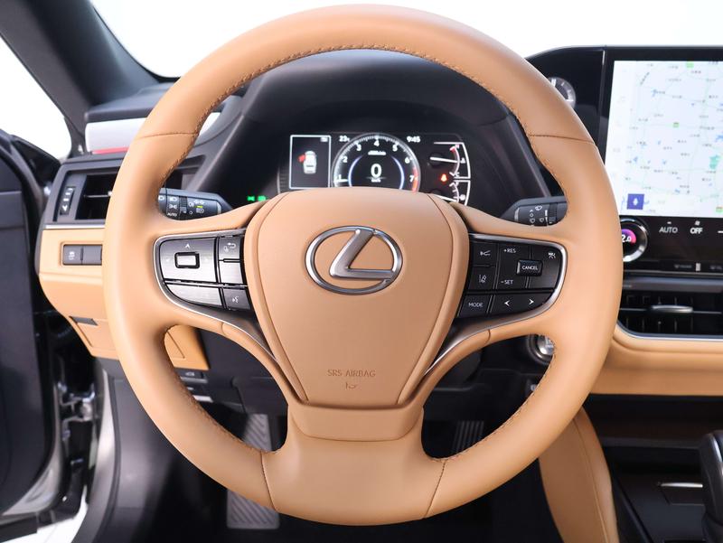 Lexus ES, 2025 — фото 12 из 12