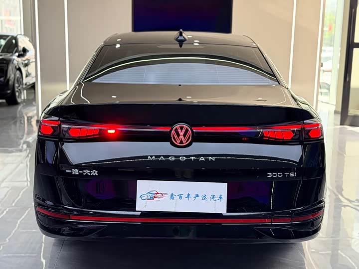 Volkswagen Magotan, 2025 — фото 9 из 9