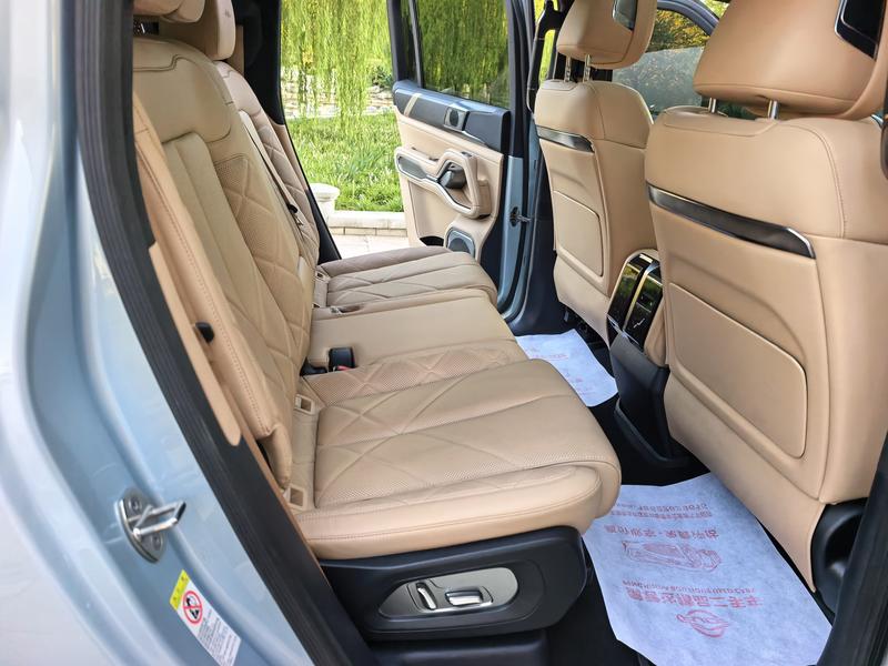 BYD FangChengBao Leopard 8, 2024 — фото 12 из 12