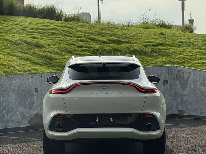 Aston Martin DBX, 2022 — фото 7 из 9
