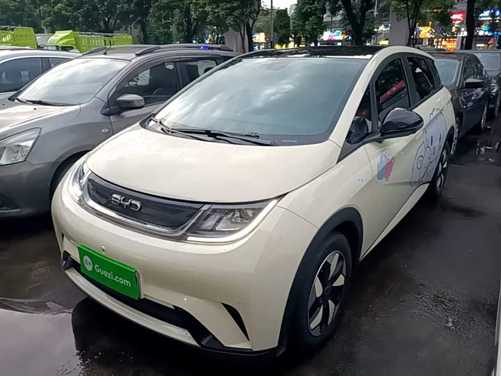 BYD Dolphin, 2023 — купить в Санкт-Петербурге под ключ