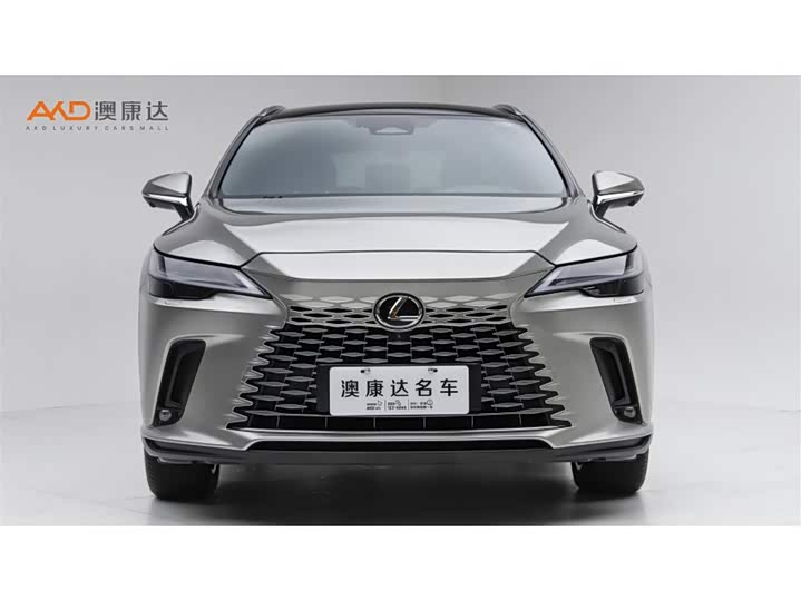 Lexus RX Hybrid, 2023 — фото 2 из 9