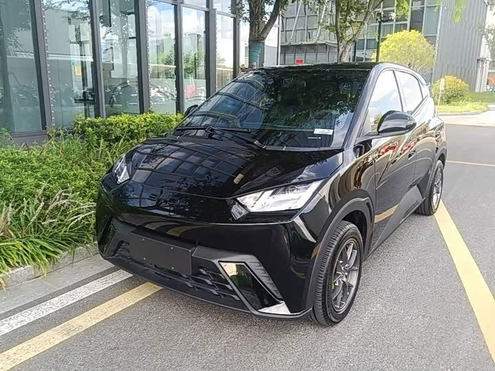 BYD Seagull, 2024 — купить в Самаре под ключ