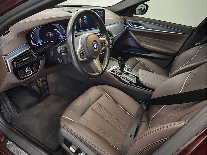 BMW 5 Series Hybrid, 2022 — фото 9 из 9