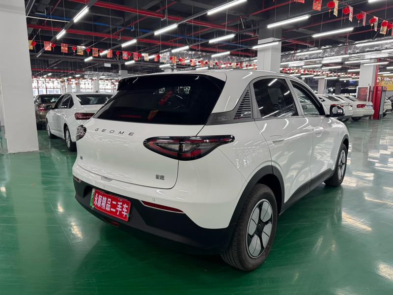Geely Galaxy Geome, 2024 — фото 6 из 10