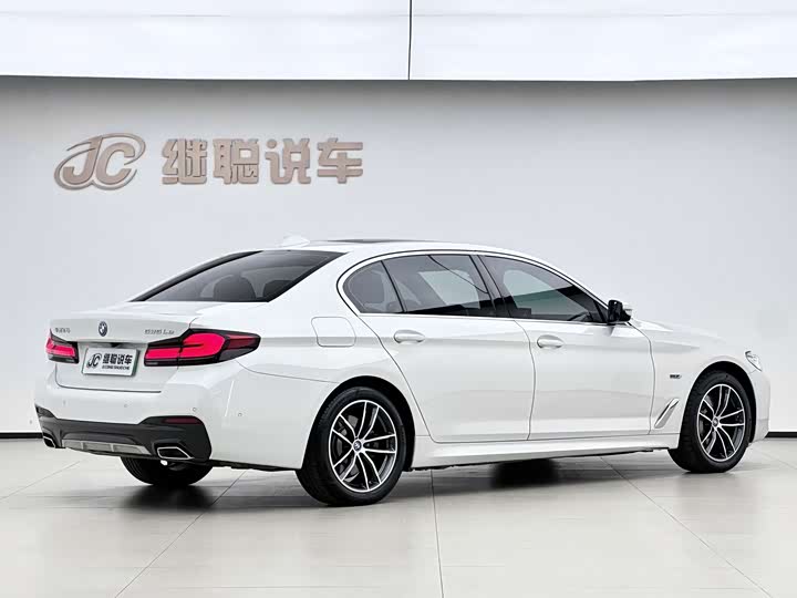 BMW 5 Series Hybrid, 2022 — фото 5 из 9