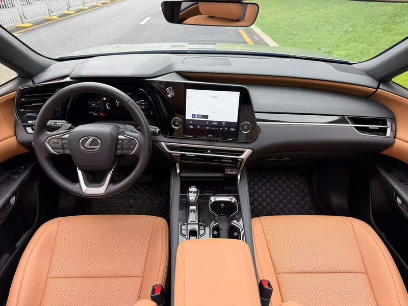 Lexus RX, 2025 — фото 6 из 10