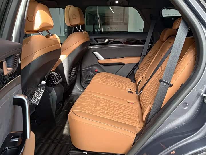 BYD Tang Hybrid/EV, 2024 — фото 8 из 12
