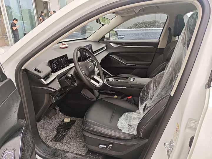 Haval H6 Hybrid, 2023 — фото 6 из 9