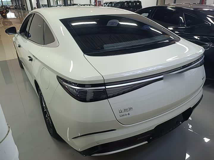 BYD Seal 07 DM-i Hybrid, 2024 — фото 5 из 9