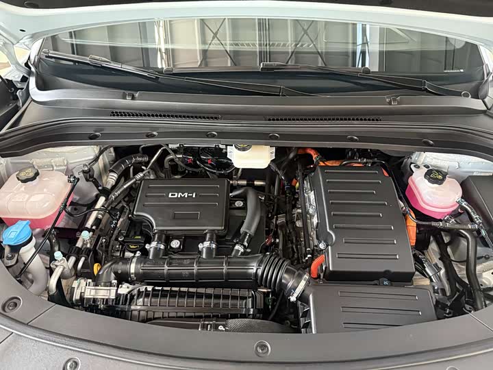 BYD Song L DM-i Hybrid, 2024 — фото 6 из 9