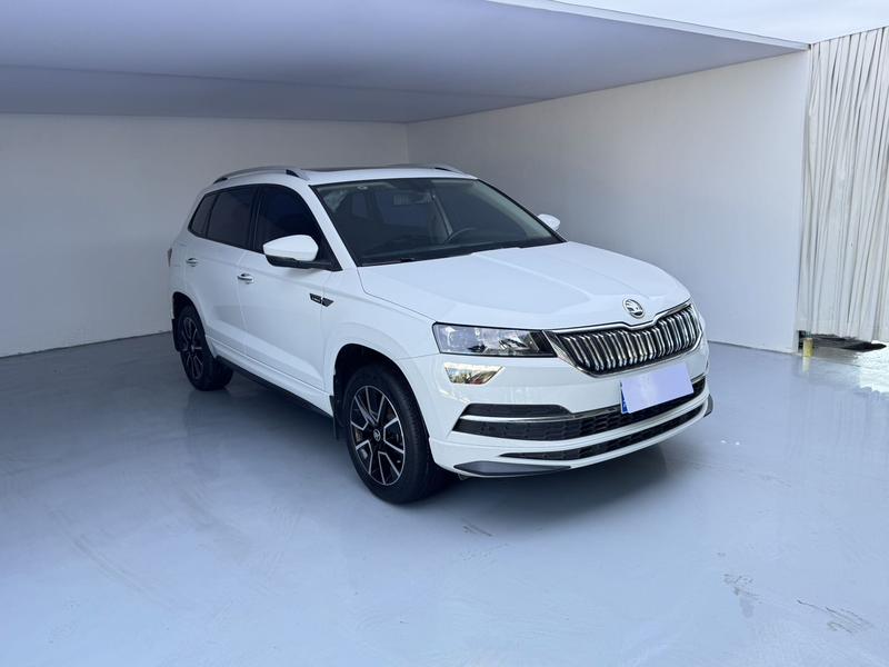 Skoda Karoq, 2024 — фото 3 из 12
