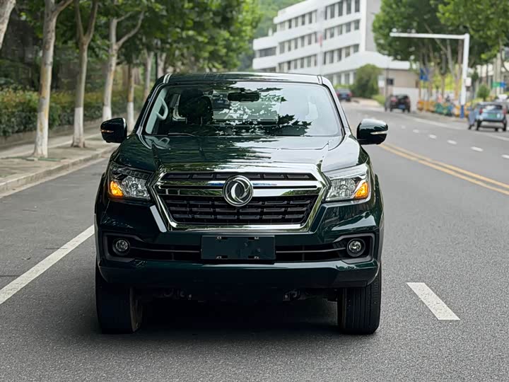 Dongfeng Rich 6 Pro, 2023 — фото 2 из 9
