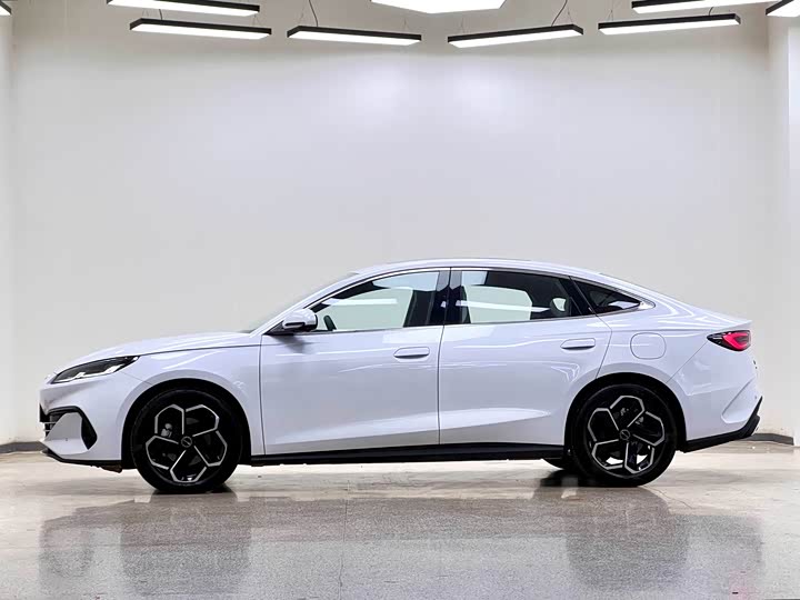 BYD Seal 06 Hybrid/EV, 2024 — фото 4 из 9
