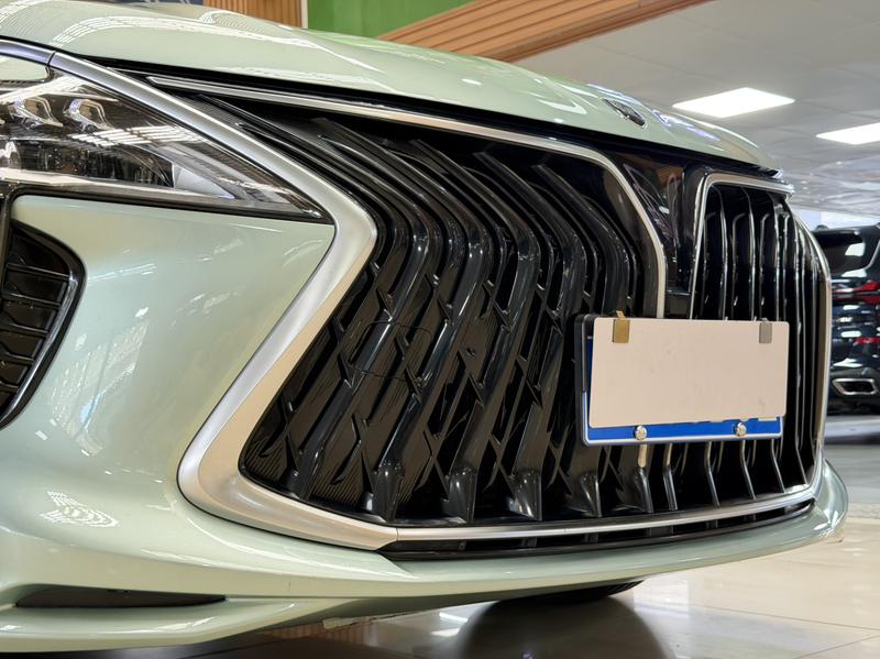 Dongfeng Forthing Yacht, 2022 — фото 7 из 12