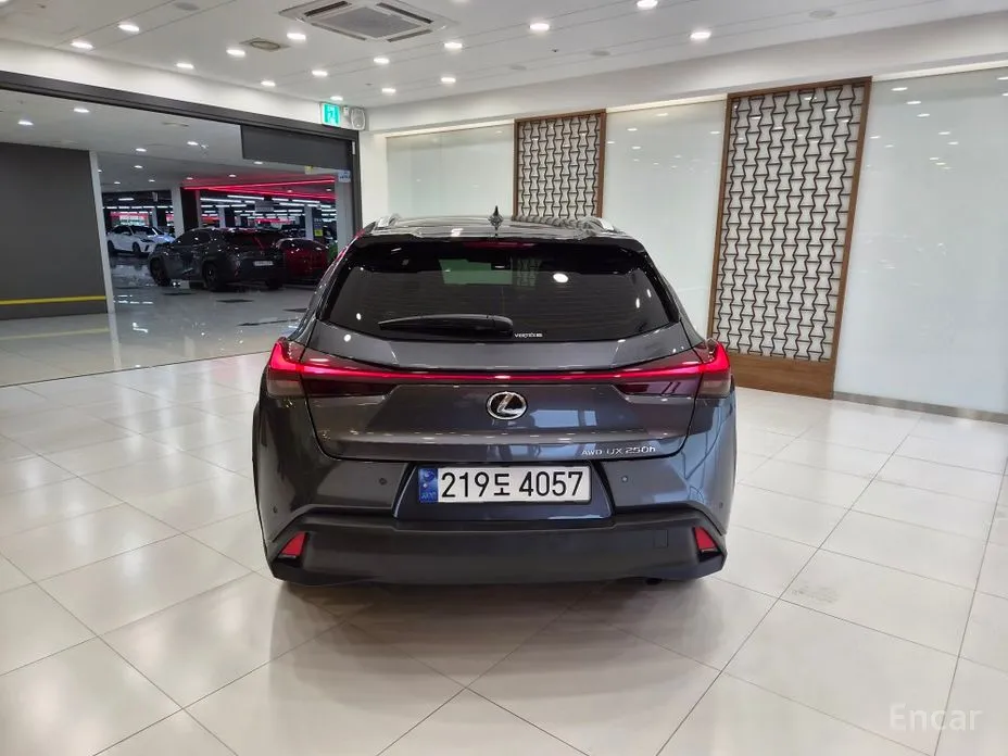 Lexus UX, 2023 — фото 4 из 12