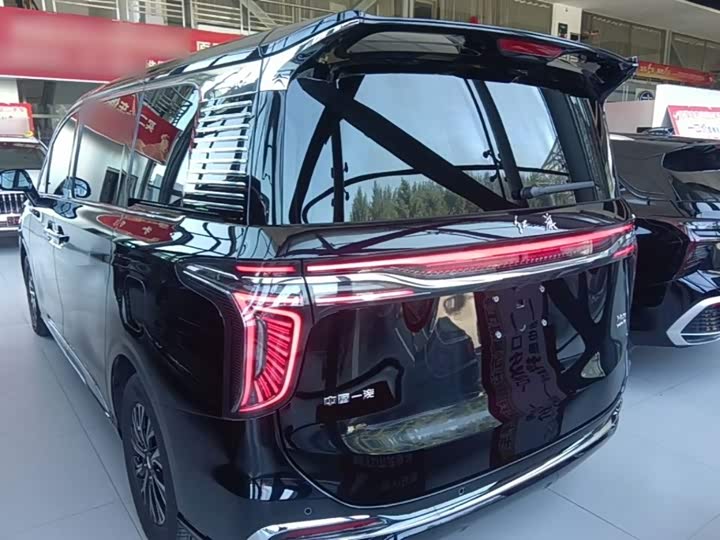 Hongqi HQ9 Hybrid, 2025 — фото 6 из 9