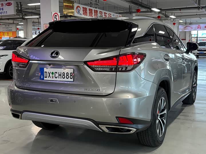 Lexus RX, 2022 — фото 7 из 9