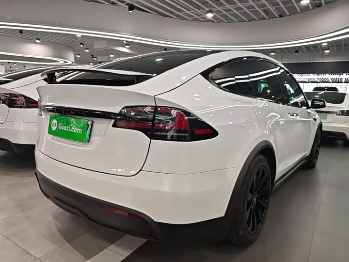 Tesla Model X, 2023 — фото 7 из 9