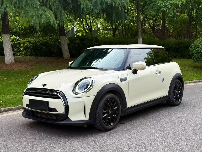 Mini Mini, 2022 — купить в Рязани под ключ