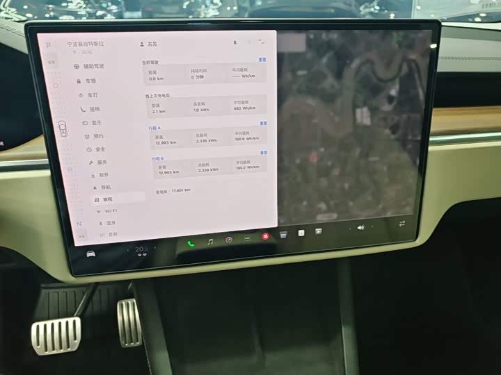 Tesla Model X, 2024 — фото 9 из 9