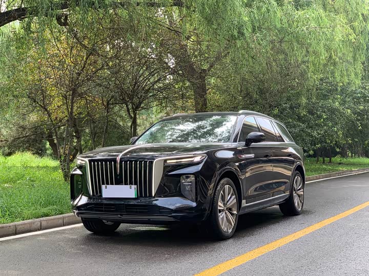 Hongqi E-HS9, 2023 — купить в Санкт-Петербурге под ключ