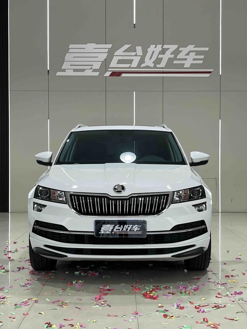 Skoda Karoq, 2023 — фото 2 из 10
