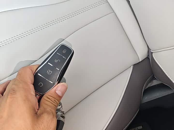BYD Song Plus Hybrid/EV, 2024 — фото 9 из 9