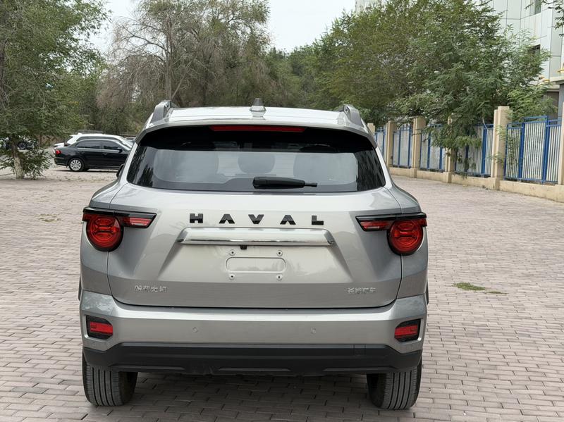 Haval H-Dog, 2023 — фото 5 из 10