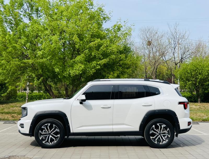 Haval H-Dog, 2024 — фото 4 из 12