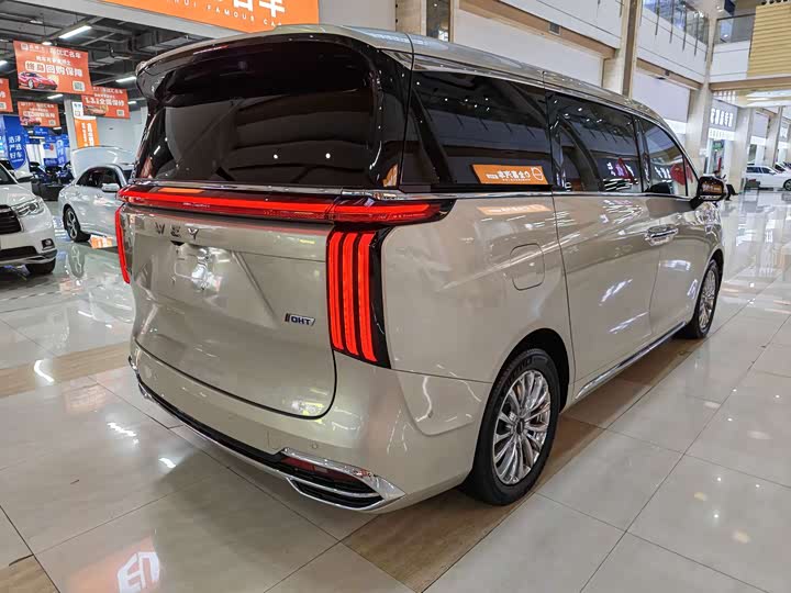 Wey 80 Hybrid, 2023 — фото 6 из 9