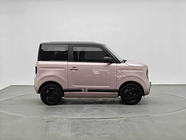 Geely Galaxy Panda Mini, 2024 — фото 3 из 9