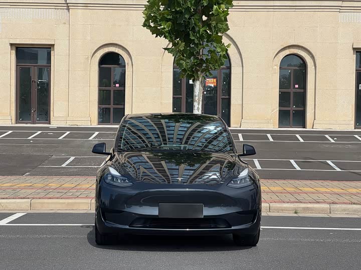 Tesla Model Y, 2024 — фото 2 из 9
