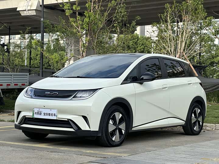 BYD Dolphin, 2023 — купить в Москве под ключ
