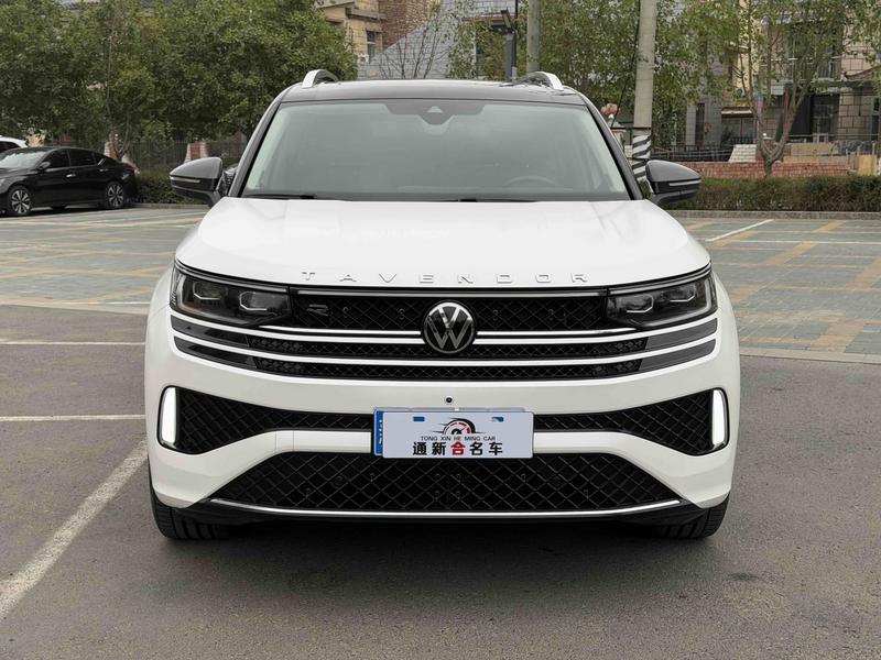 Volkswagen Tavendor, 2023 — фото 2 из 10