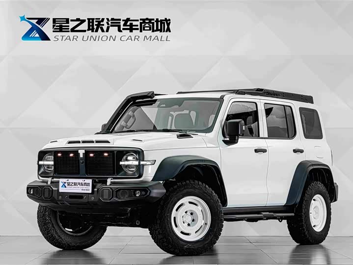 Tank 300, 2024 — купить в Санкт-Петербурге под ключ