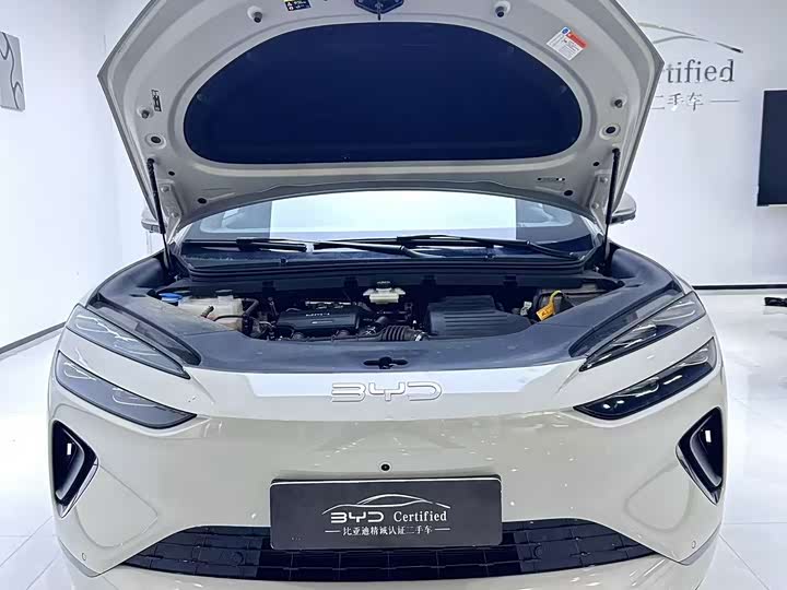 BYD Sea Lion 06 Hybrid/EV, 2025 — фото 7 из 9