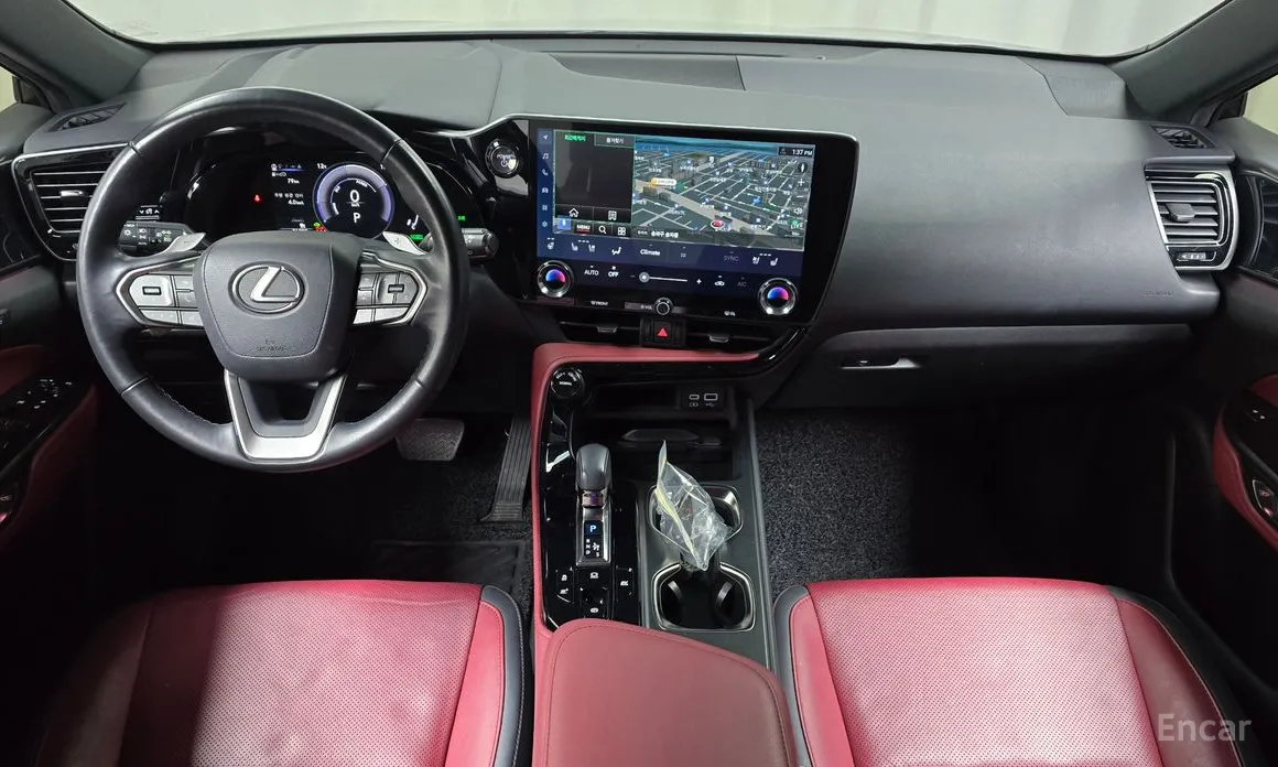Lexus NX, 2022 — фото 7 из 12