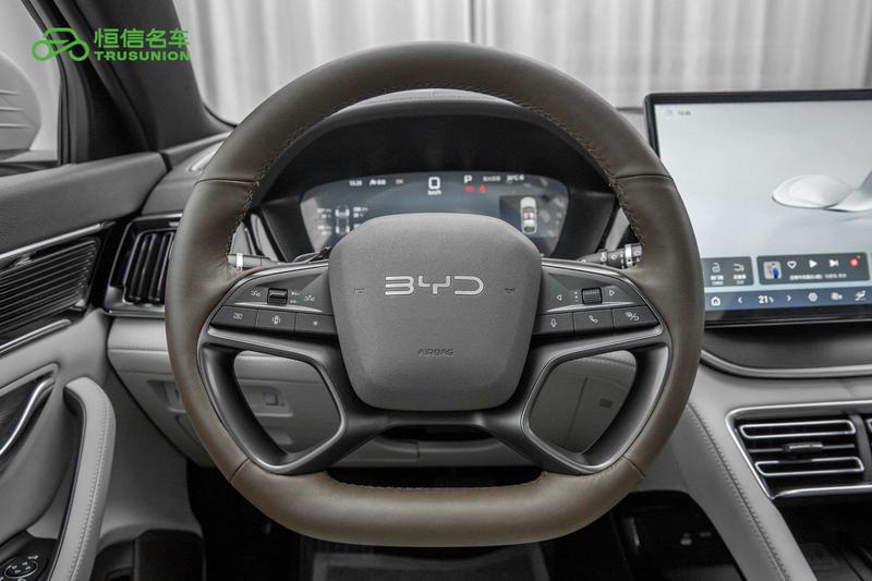 BYD Song Plus Hybrid/EV, 2025 — фото 11 из 12