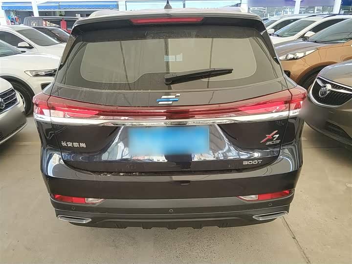 Changan Oshan X7 Plus, 2021 — фото 6 из 12