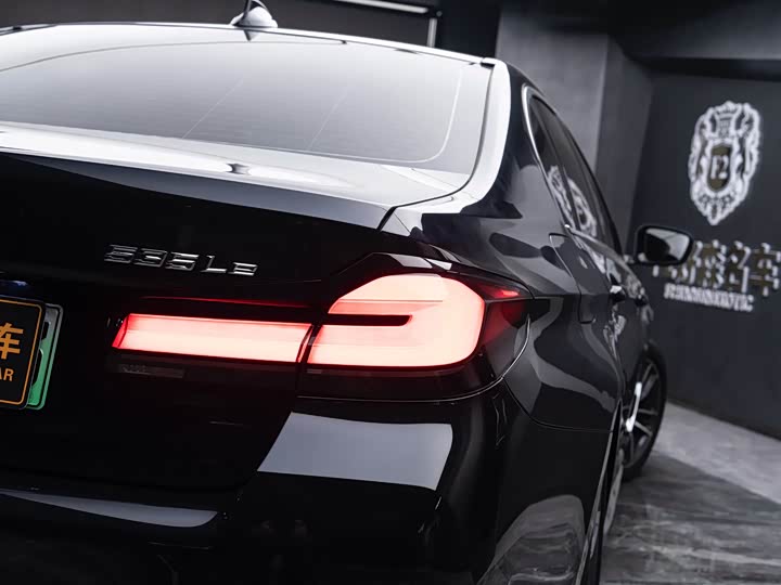 BMW 5 Series Hybrid, 2022 — фото 9 из 9