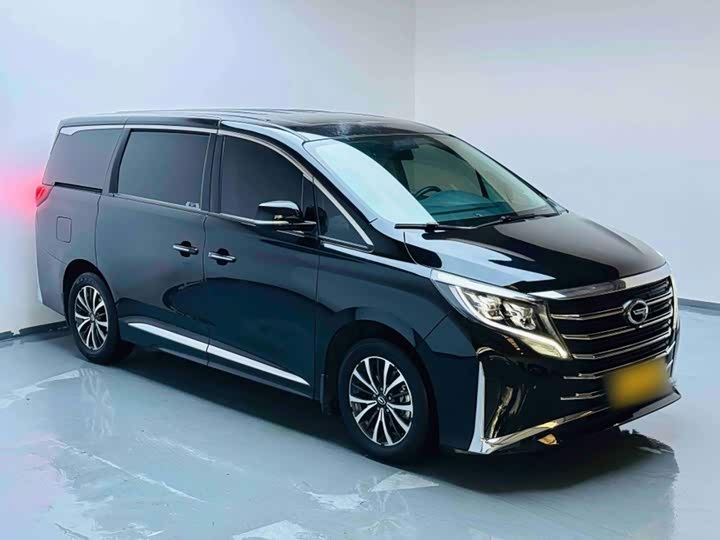 GAC Trumpchi M8, 2023 — фото 6 из 9