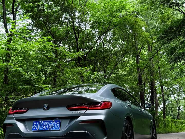 BMW 8 Series, 2024 — фото 6 из 9