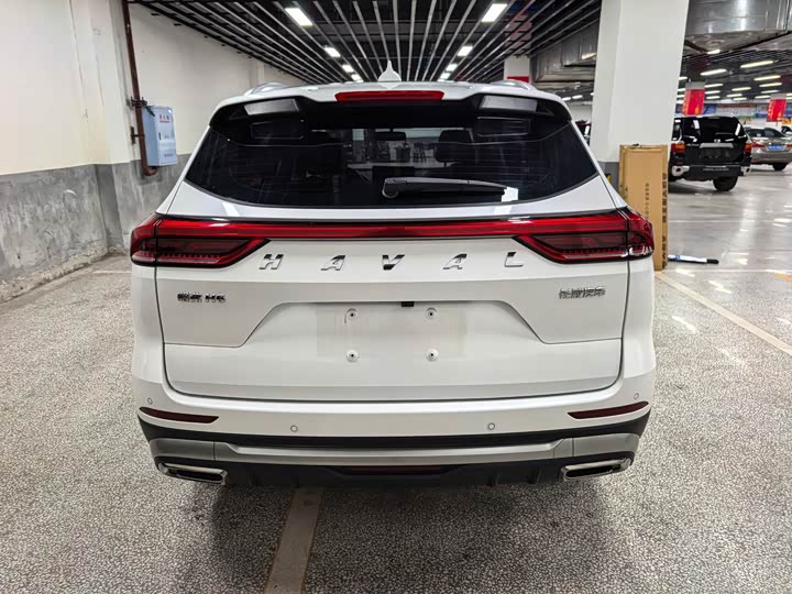Haval H6, 2021 — фото 6 из 9